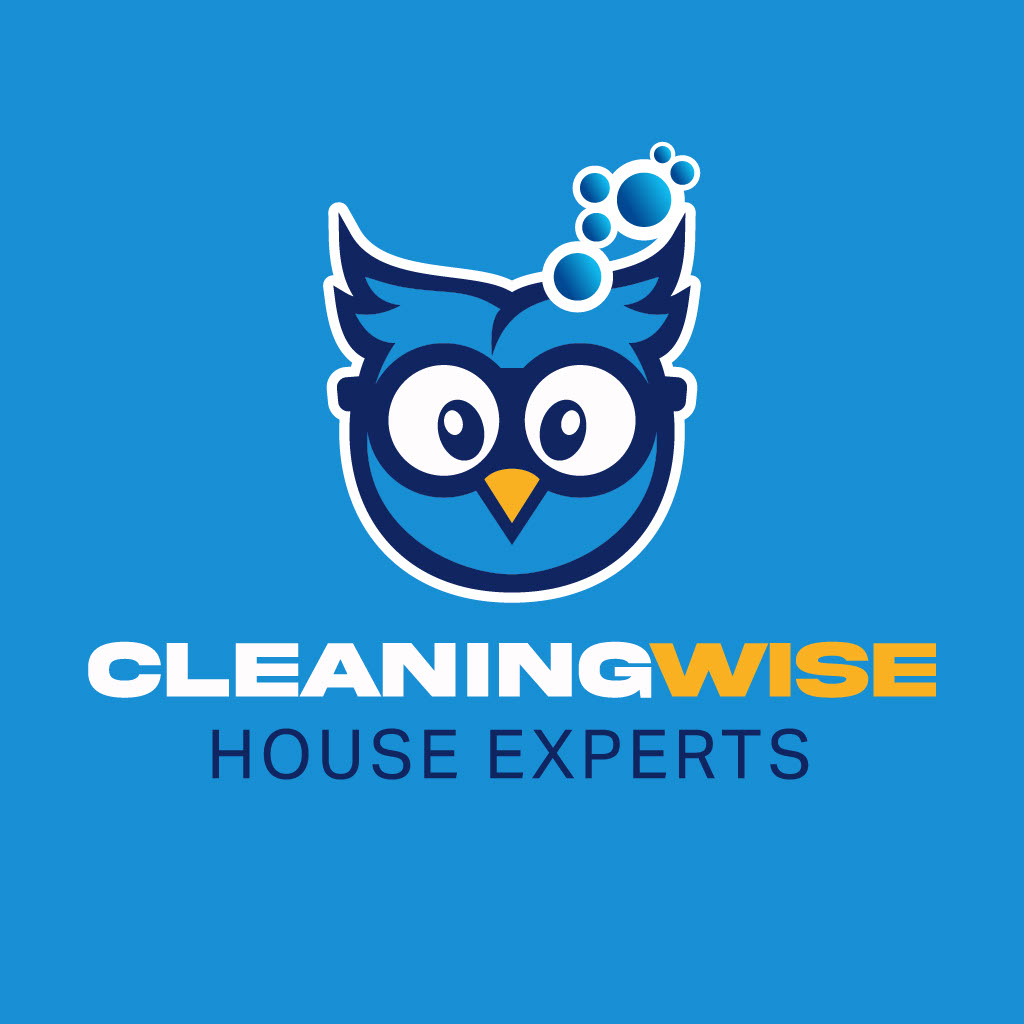 Cleaning Wise